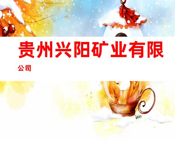 贵州兴阳矿业有限公司