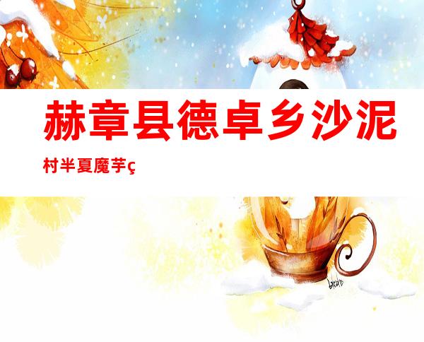 赫章县德卓乡沙泥村半夏魔芋种植基地